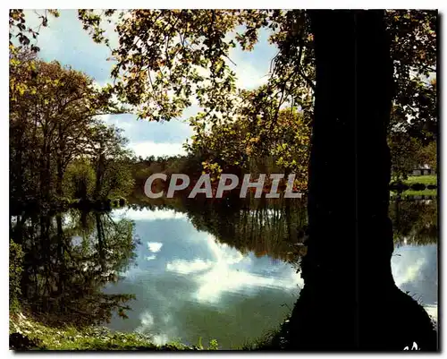 Moderne Karte Visage des Landes Quand vient l'Automne sur nos etangs