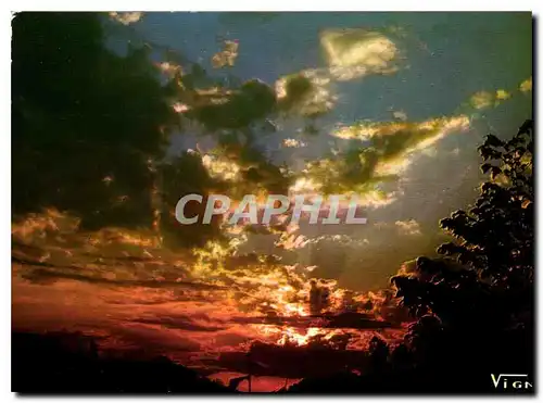 Cartes postales moderne Paysages des Landes Coucher de Soleil