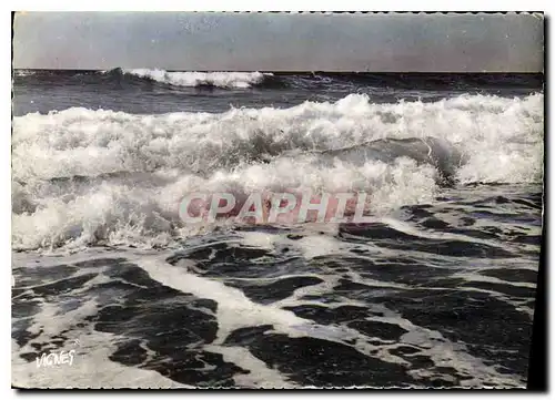 Cartes postales moderne Visage des Landes Cote d'Argent Landaise Vagues