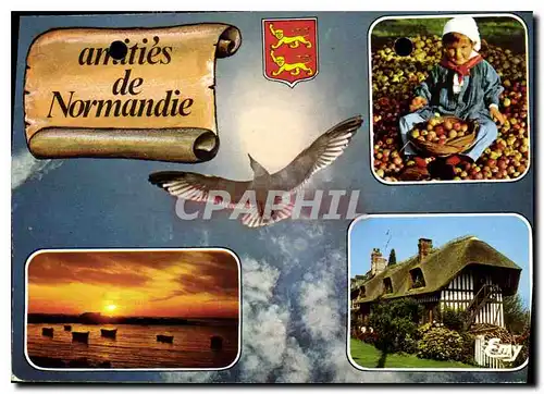 Cartes postales moderne Amities de Normandie