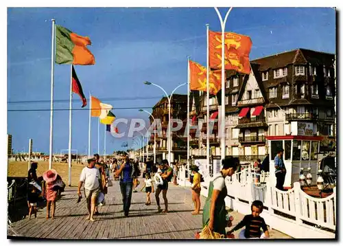 Cartes postales moderne Trouville sur Mer Calvados ses Planches