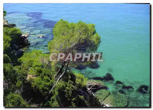 Cartes postales moderne Image de la Cote