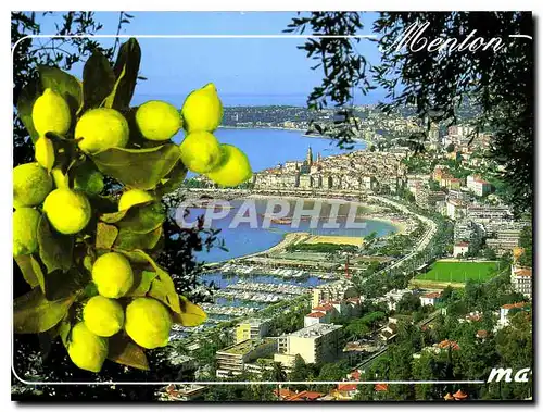 Cartes postales moderne La Cote d'Azur French Riviera Menton Vue generale