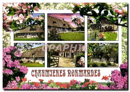 Cartes postales moderne Chaumieres Normandes