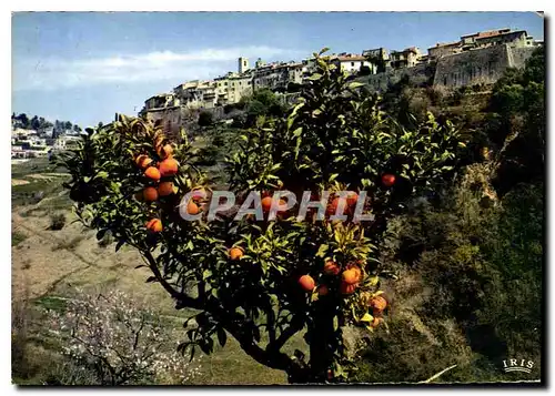 Cartes postales moderne Reflets de la Cote d'Azur St Paul de Vence AM Vue d'ensemble