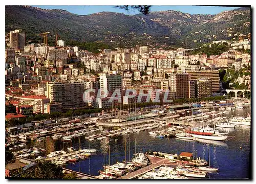 Cartes postales moderne Monaco Monte Carlo Vue generale du port et de la piscine