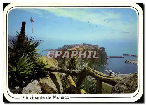 Cartes postales moderne Principaute de Monaco Du jardin Exotique