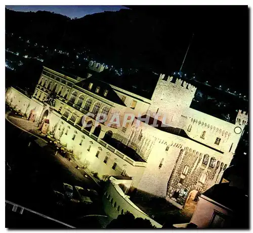 Cartes postales moderne Monaco Le Palais Illumine