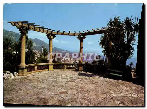 Cartes postales moderne Principaute de Monaco Monte Carlo Vue prise d'une terrasse du Jardin Exotique