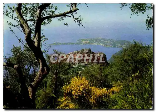 Cartes postales moderne Les Sites Merveilleux de la Cote d'Azur AM