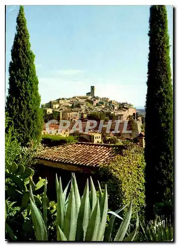 Cartes postales moderne La Cote d'Azur miracle de la nature Saint Paul de Vence Alpes Maritimes