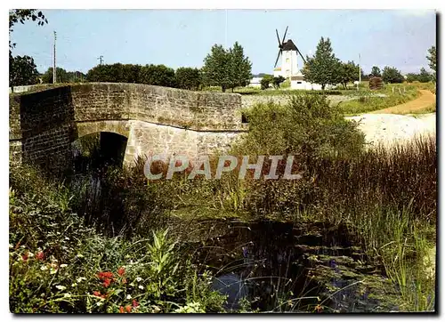 Cartes postales moderne Au Pays de Monts