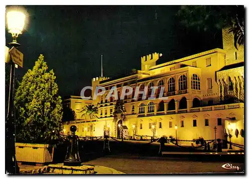 Cartes postales moderne Principaute de Monaco Le Palais Princier