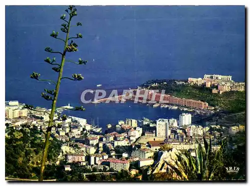 Cartes postales moderne Principaute de Monaco Vue generale prise de la Turbie