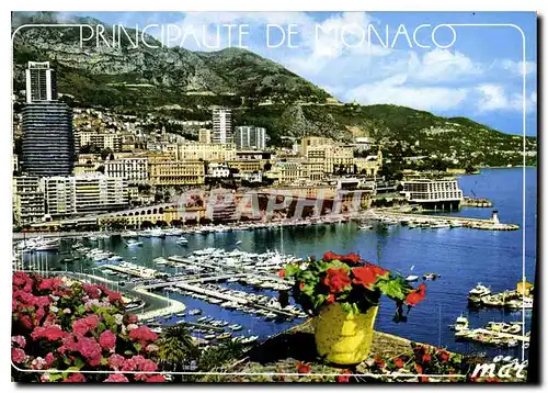 Cartes postales moderne La Principaute de Monaco Monte Carlo Le Port