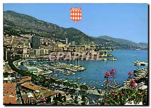 Cartes postales moderne Principaute de Monaco Le Port et Monte Carlo