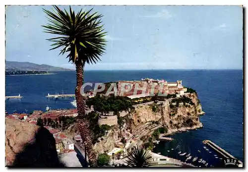 Cartes postales moderne Monaco Le Rocher de Monaco vu du Jardin Exotique