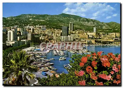 Cartes postales moderne Principaute de Monaco Monte Carlo Le Port