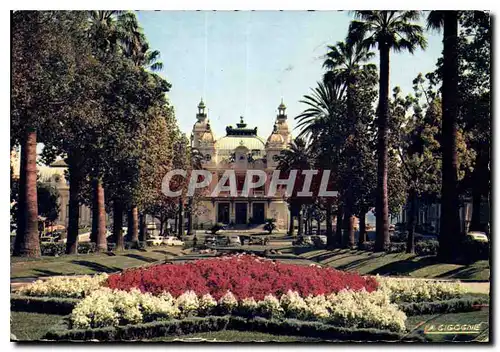 Cartes postales moderne Monte Carlo Le Casino et ses Jardins