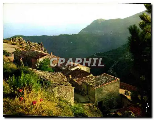 Cartes postales moderne La Cote d'Azur miracle de la nature Sainte Agnes AM