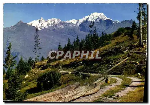 Cartes postales moderne Les Alpes Francaises Pittoresque promenade en montagne