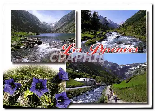 Cartes postales moderne Les Pyrenees