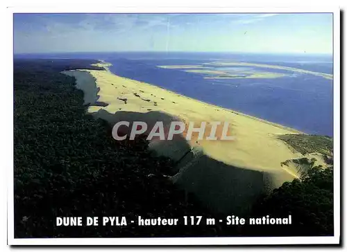 Cartes postales moderne Dune de Pyla hauteur 117 m Site national