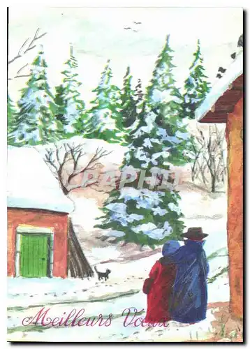 Cartes postales moderne Meilleurs Voeux