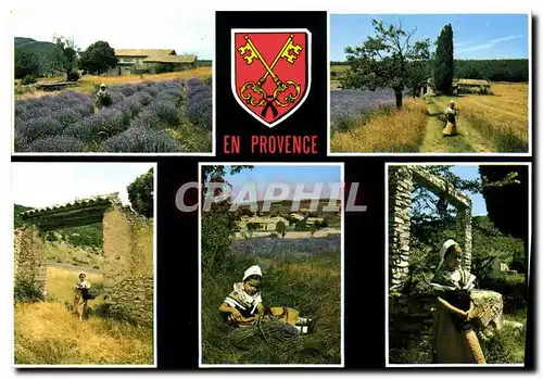 Cartes postales moderne En Provence Les Belles Images de Provence