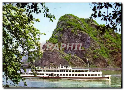 Cartes postales moderne Die loreley am Rhein Bateau