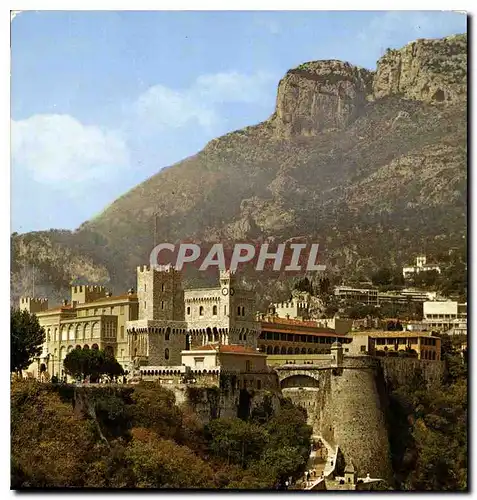 Cartes postales moderne Principaute de Monaco Vue d'ensemble du Palais de SAS le Prince de Monaco