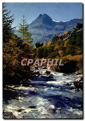 Cartes postales moderne Torrent de Montagne