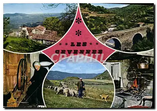 Cartes postales moderne Les Cevennes Touristiques Images de la Vie Cevenole