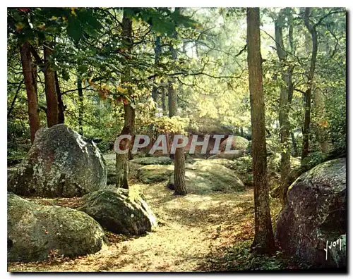 Cartes postales moderne La Douce France Melodie automnale en foret