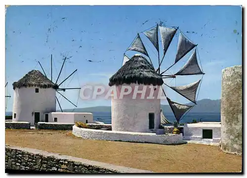 Cartes postales moderne Mykonos Les moulins a vent