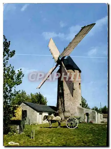Cartes postales Paysages Vendeens Moulins en Vendee Pres de Sallertaine le moulin de Raire toujours en activite
