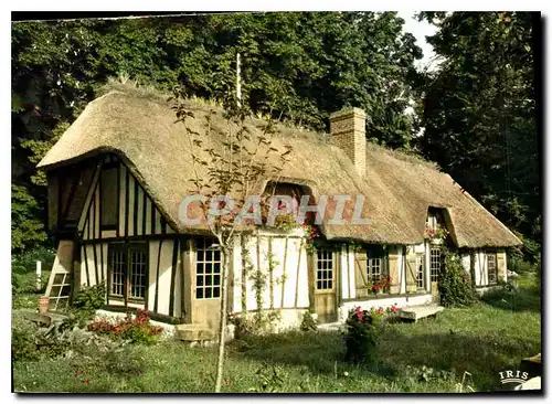 Cartes postales moderne La Luxuriante Normandie Maison Normande au toit de Chaume