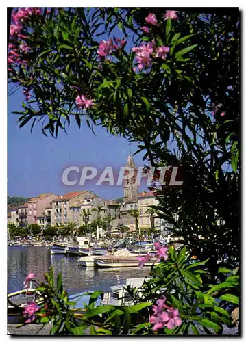 Cartes postales moderne Sanary sur Mer