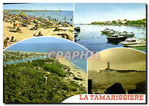 Cartes postales moderne En Parcourant la Cote Mediterraneenne la Tamarissiere Herault