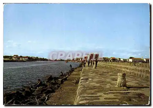 Cartes postales moderne Vue sur la Tamarissiere a gauche l'Herault et le Grau d'Agde a droite