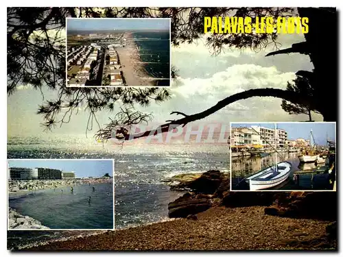 Cartes postales moderne Le Littoral Languedocien Palavas les Flots