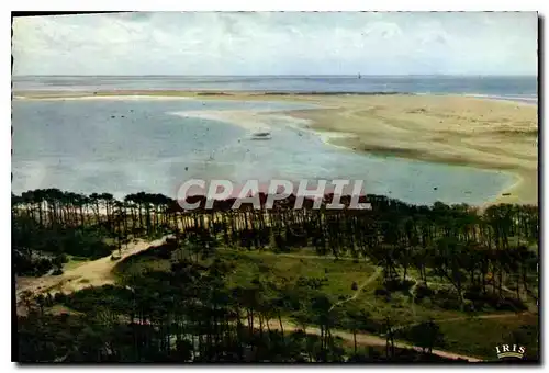 Cartes postales moderne Du haut du Phare de la Coubre la cote Sauvage et la Baie de bonne Anse