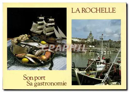 Cartes postales moderne La rochelle Son Port sa Gastronomie