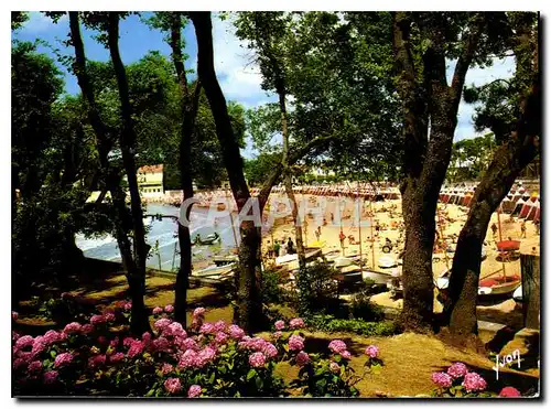 Cartes postales moderne La Cote de Beaute Saint Palais sur mer Charente maritime la Plage