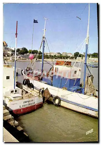 Cartes postales moderne Fouras Charente Maritime