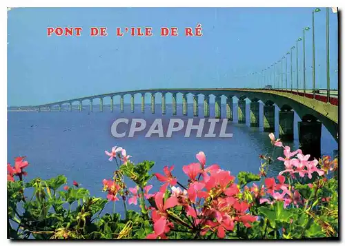 Cartes postales moderne Pont de l'ile de Re Ch Mme l'ile de Re est desormais reliee au Continent par un Pont