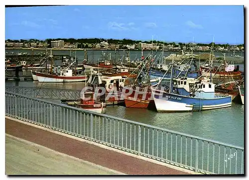 Cartes postales moderne Royan Charente Maritime le Port de Peche