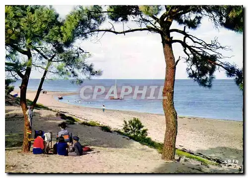 Cartes postales moderne Ile de re Plage de trousse Chemise