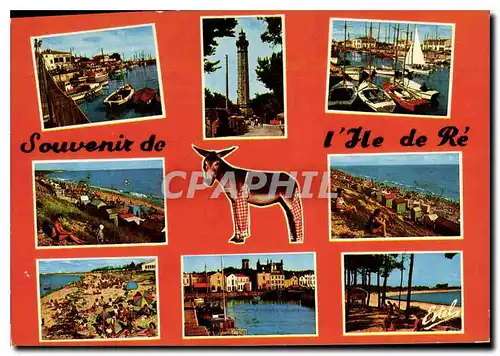 Cartes postales moderne La Cote Atlantique Ile de re Charente Maritime la Flotte Phare des Baleines Ars le Bois la Couar