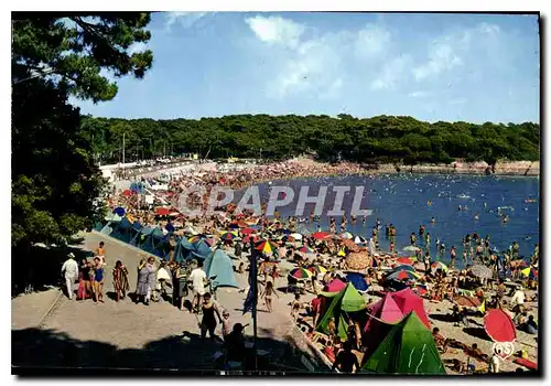 Cartes postales moderne Saint Palais sur Mer Chte Mme la Plage de Vaux Nauzan sur Mer